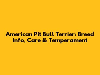 American Pit Bull Terrier: Breed Info, Care & Temperament
