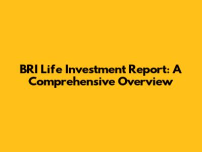 BRI Life Investment Report: A Comprehensive Overview