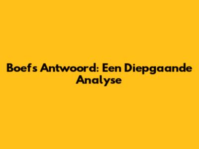 Boef's Antwoord: Een Diepgaande Analyse