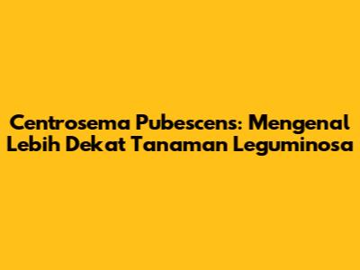 Centrosema Pubescens: Mengenal Lebih Dekat Tanaman Leguminosa