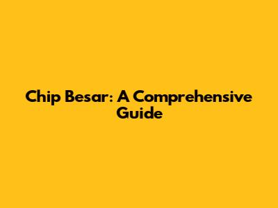 Chip Besar: A Comprehensive Guide