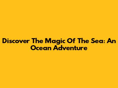 Discover The Magic Of The Sea: An Ocean Adventure