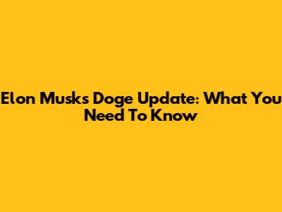 Elon Musk's Doge Update: What You Need To Know