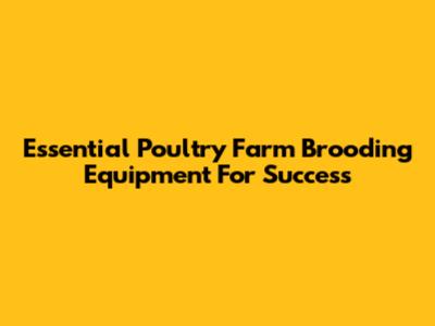 Essential Poultry Farm Brooding Equipment For Success