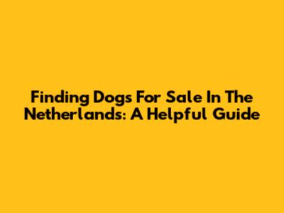 Finding Dogs For Sale In The Netherlands: A Helpful Guide