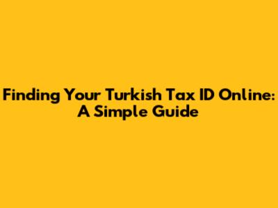 Finding Your Turkish Tax ID Online: A Simple Guide
