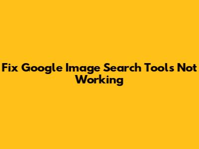 Fix Google Image Search Tools Not Working