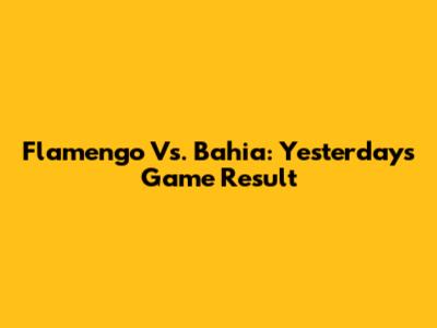 Flamengo Vs. Bahia: Yesterday's Game Result