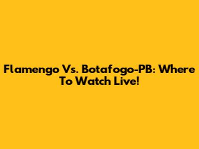 Flamengo Vs. Botafogo-PB: Where To Watch Live!