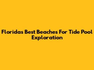Florida's Best Beaches For Tide Pool Exploration