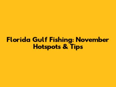 Florida Gulf Fishing: November Hotspots & Tips