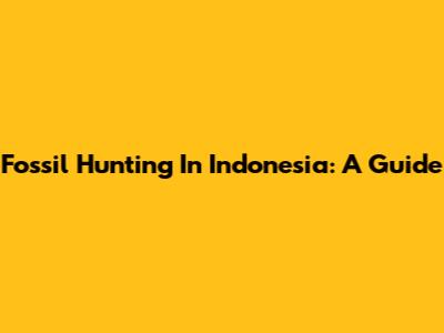 Fossil Hunting In Indonesia: A Guide