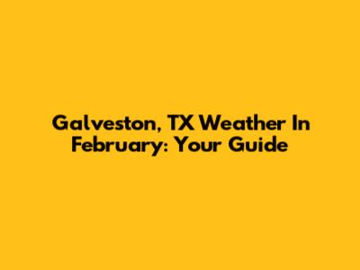 Galveston, TX Weather In February: Your Guide