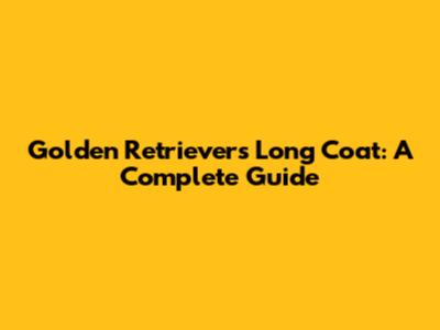Golden Retriever's Long Coat: A Complete Guide