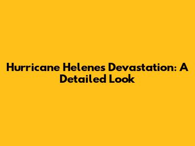 Hurricane Helene's Devastation: A Detailed Look