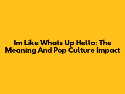 I'm Like What's Up Hello: The Meaning And Pop Culture Impact
