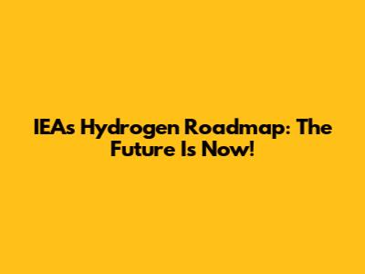 IEA's Hydrogen Roadmap: The Future Is Now!