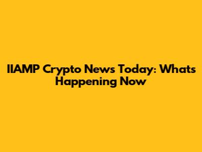 IIAMP Crypto News Today: What's Happening Now