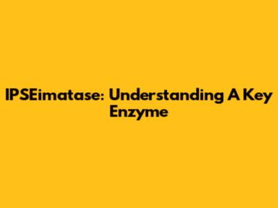 IPSEimatase: Understanding A Key Enzyme