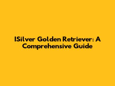 ISilver Golden Retriever: A Comprehensive Guide