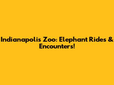 Indianapolis Zoo: Elephant Rides & Encounters!
