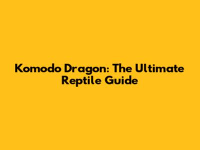 Komodo Dragon: The Ultimate Reptile Guide