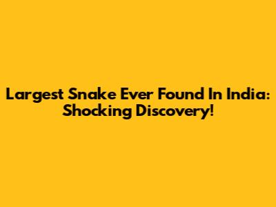 Largest Snake Ever Found In India: Shocking Discovery!