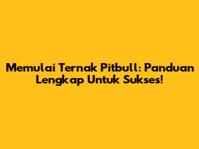 Memulai Ternak Pitbull: Panduan Lengkap Untuk Sukses!