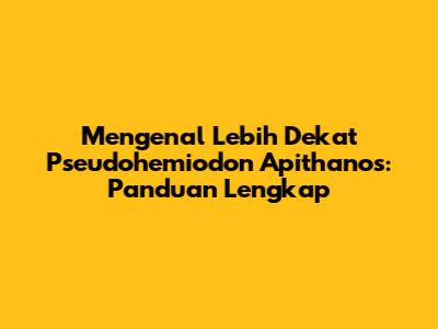 Mengenal Lebih Dekat Pseudohemiodon Apithanos: Panduan Lengkap