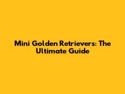 Mini Golden Retrievers: The Ultimate Guide
