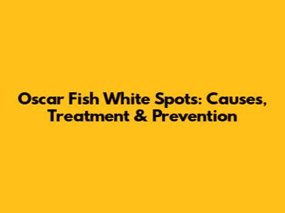 Oscar Fish White Spots: Causes, Treatment & Prevention