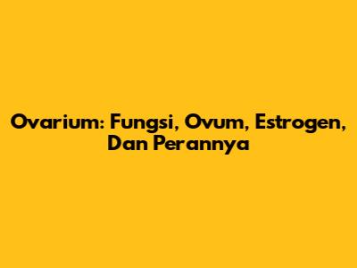 Ovarium: Fungsi, Ovum, Estrogen, Dan Perannya