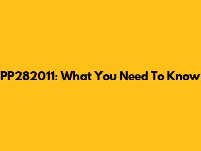 PP282011: What You Need To Know
