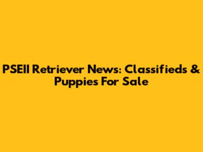 PSEII Retriever News: Classifieds & Puppies For Sale