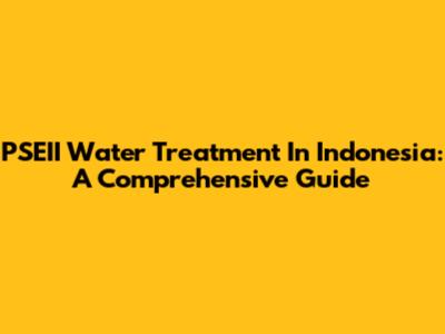 PSEII Water Treatment In Indonesia: A Comprehensive Guide