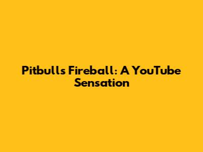 Pitbull's Fireball: A YouTube Sensation