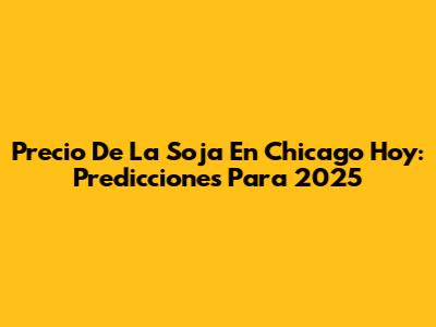 Precio De La Soja En Chicago Hoy: Predicciones Para 2025