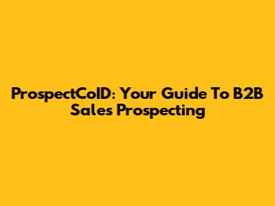 ProspectCoID: Your Guide To B2B Sales Prospecting