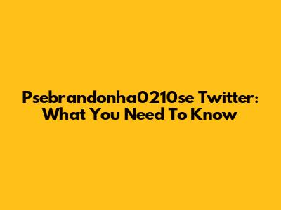 Psebrandonha0210se Twitter: What You Need To Know