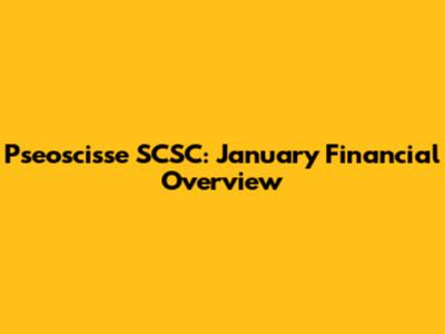Pseoscisse SCSC: January Financial Overview