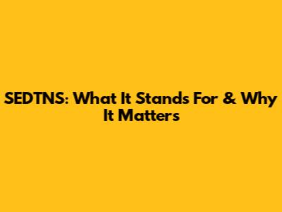 SEDTNS: What It Stands For & Why It Matters