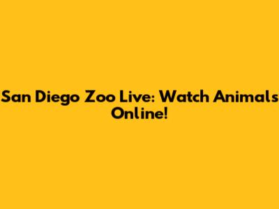 San Diego Zoo Live: Watch Animals Online!