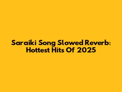 Saraiki Song Slowed Reverb: Hottest Hits Of 2025