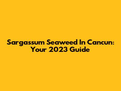 Sargassum Seaweed In Cancun: Your 2023 Guide
