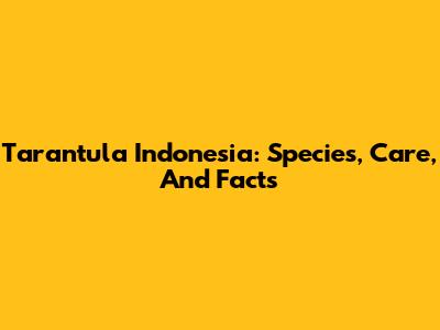Tarantula Indonesia: Species, Care, And Facts