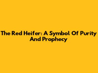 The Red Heifer: A Symbol Of Purity And Prophecy