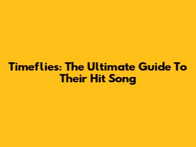 Timeflies: The Ultimate Guide To Their Hit Song