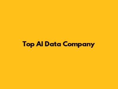 Top AI Data Company