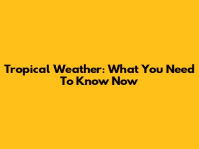 Tropical Weather: What You Need To Know Now