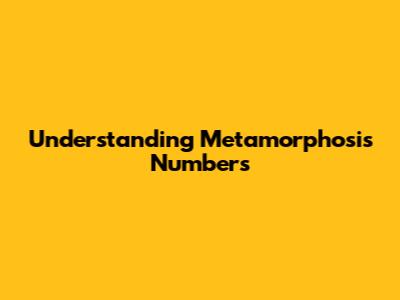 Understanding Metamorphosis Numbers